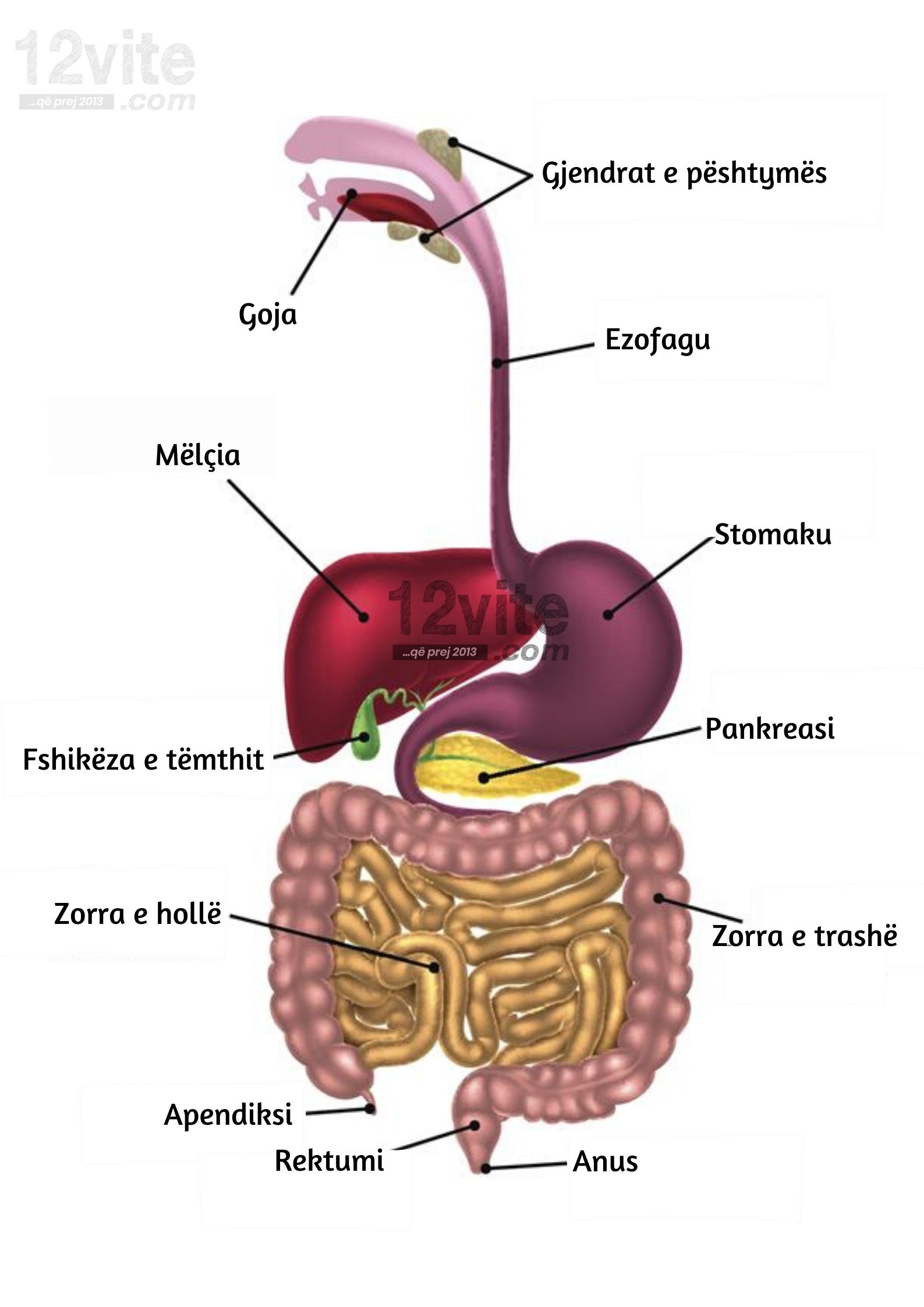 femija