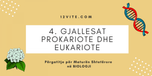 4. Gjallesat prokariote dhe eukariote | Biologjia për Maturën Shtetërore