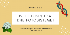 12. Fotosinteza dhe fotosistemet | Biologjia për Maturën Shtetërore