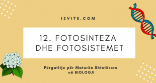 12. Fotosinteza dhe fotosistemet | Biologjia për Maturën Shtetërore